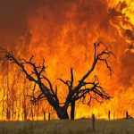 DYK: What Does Black Saturday Means?